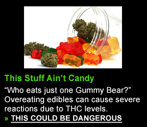 "Who eats just one Gummy Bear?" Overeating edibles can cause severe reactions due to THC level