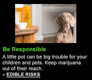 A little pot can be big trouble for your children and pets. Your medical marijuana must be kept out 
